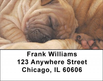 Sharpei Puppies Address Labels | LBQBB-93