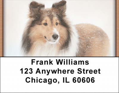 Shetland Sheepdog Address Labels | LBQBB-94
