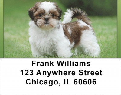 Shih Tzu Puppies Address Labels | LBQBB-96