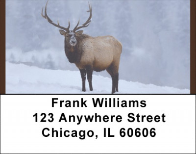 Rocky Mountain Elk Address Labels | LBQBC-23