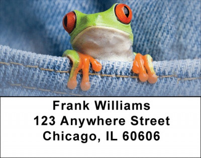 Frog In Your Pocket Address Labels | LBQBC-50