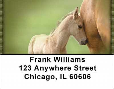 Foals And Mares Address Labels | LBQBC-62