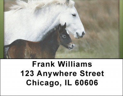 For Horse Lovers Address Labels | LBQBC-63