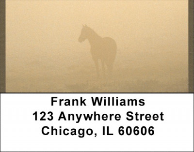 Horse Silhouettes Address Labels | LBQBC-66