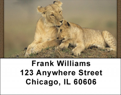 Lions Up Close Address Labels | LBQBC-99