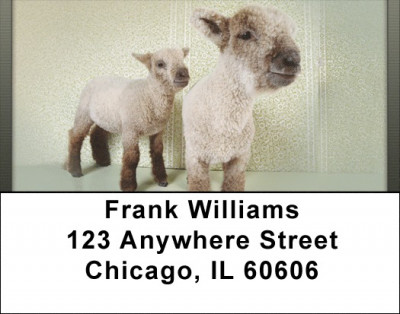 Little Lambs Address Labels | LBQBD-34