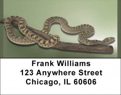 Slithering Reptiles Address Labels | LBQBD-35