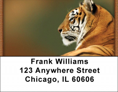 Wild As A Tiger Address Labels | LBQBD-39