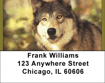 Timberwolves Address Labels | LBQBD-40