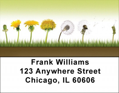 Life Cycles Address Labels | LBQBG-46