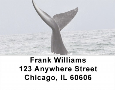 Fish Tales Address Labels | LBQBI-65
