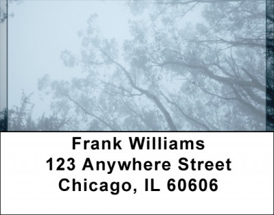 Looking Up Address Labels | LBQBI-73