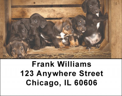Dachshund Country  Address Labels | LBQBQ-94