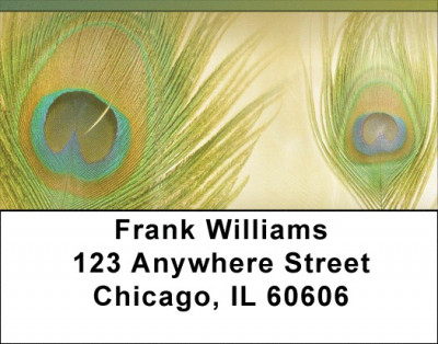 Dreamy Peacock Feathers  Address Labels | LBQBR-09
