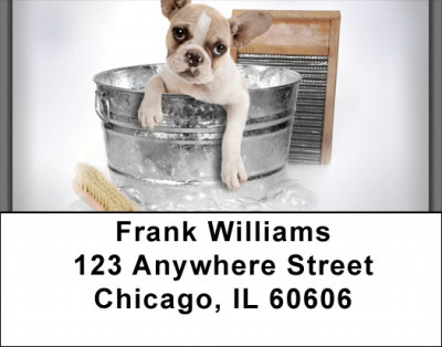 Frenchie Bathtime Address Labels | LBQBR-33