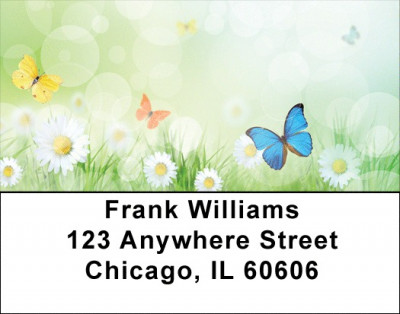 Celebrating Transformation Address Labels | LBQBS-01