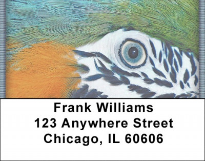Fun Feathers Address Labels | LBZABS-05