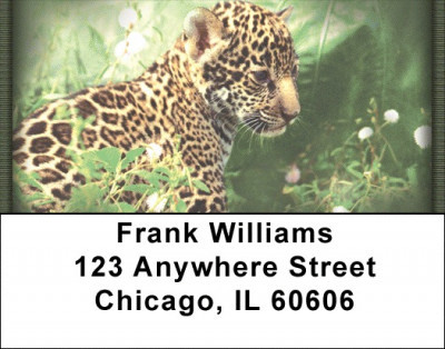 Big Cat Babies Address Labels | LBZANI-15
