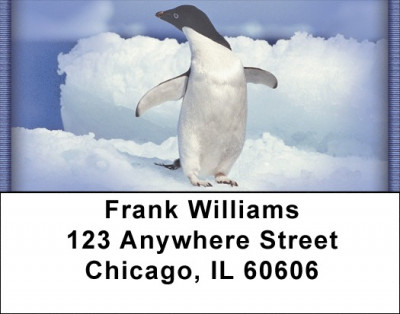 Penguins Address Labels | LBZANI-33