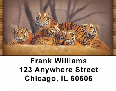 Bengal Tigers Address Labels | LBZANI-46