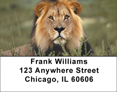 Big Cats Address Labels | LBZANI-47