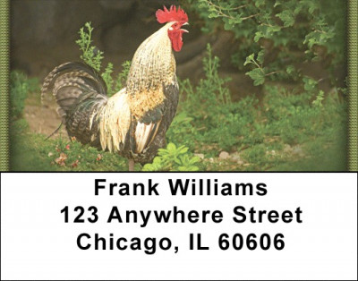 Chickens Address Labels | LBZANI-53