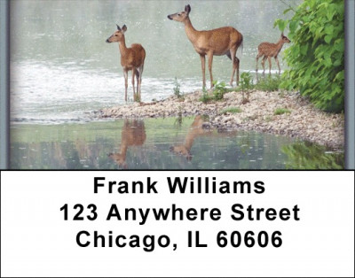 Deer Address Labels | LBZANI-55