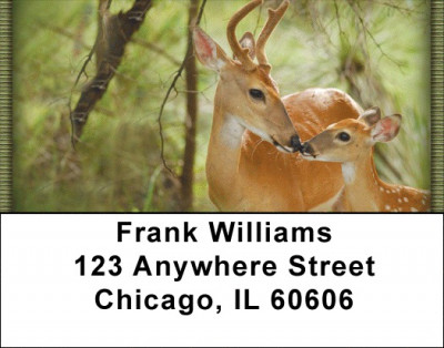Deer in Four Seasons Address Labels | LBZANI-59