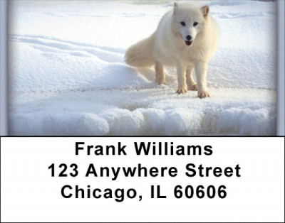 Sly as a Fox Address Labels | LBZANI-75