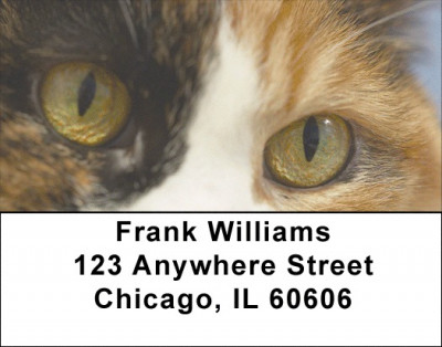 My Point of View Address Labels | LBZANI-86