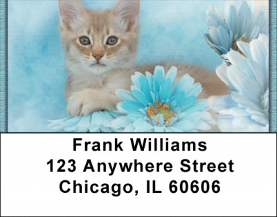 House Cats, the Kittens Address Labels | LBZANI-87