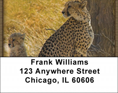 Spot On Address Labels | LBZANI-94