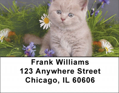 Flowers & Felines Address Labels | LBZANJ-12