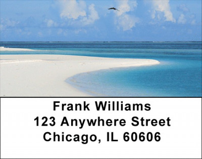 Beach Birds Address Labels | LBZANJ-15