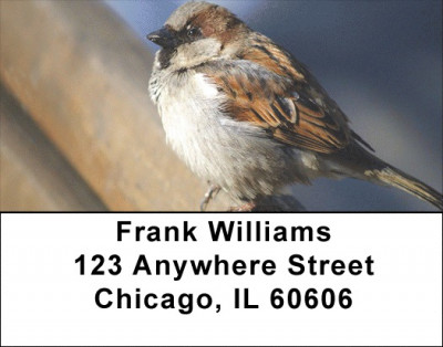 Sparrow Inspirations Address Labels | LBZANJ-19