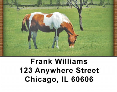 Grazing Green Pastures Address Labels | LBZANJ-36