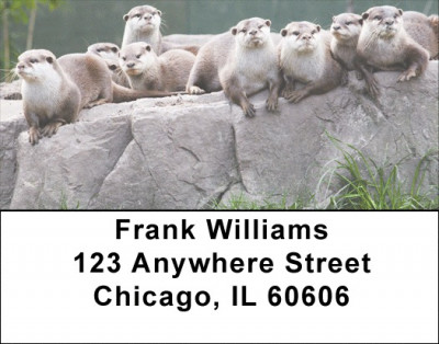 Otter Address Labels | LBZANJ-49