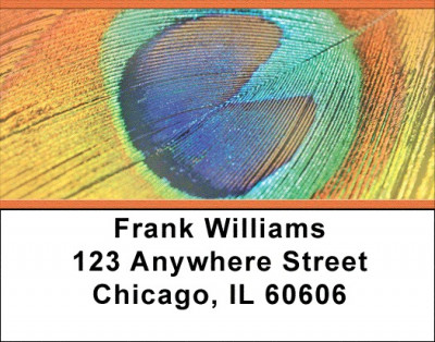 Peacock Pride Address Labels | LBZANJ-51