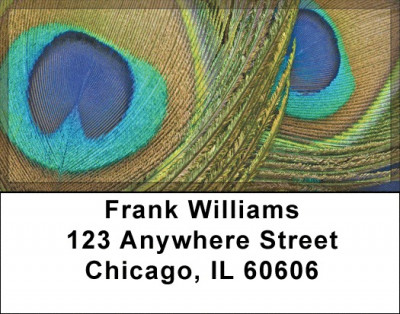 Peacock Plumes Address Labels | LBZANJ-52