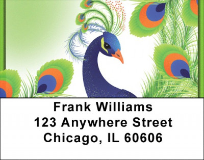 Flaunt It Address Labels | LBZANJ-54