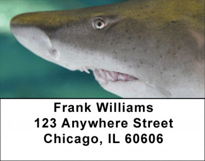 Jaws Address Labels | LBZANJ-63