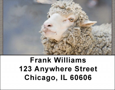 Counting Sheep Address Labels | LBZANJ-65