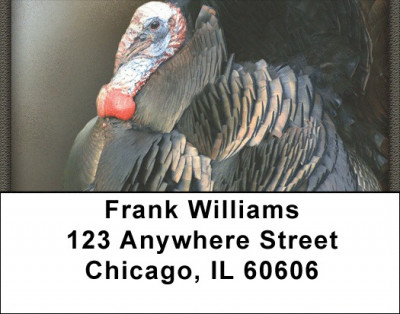Tom The Turkey Address Labels | LBZANJ-81