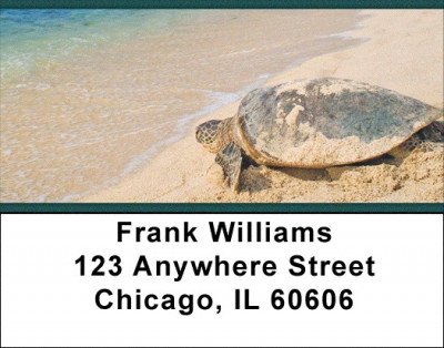 Sea Turtles Address Labels | LBZANJ-86