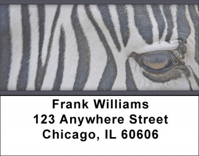 Zebra Eye To Eye Address Labels | LBZANJ-91