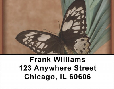 Terracotta Butterfly Address Labels | LBZANK-08