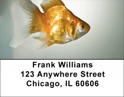 Goldfish Address Labels | LBZANK-35