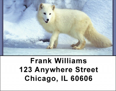 Fox In Winter Address Labels | LBZANK-38