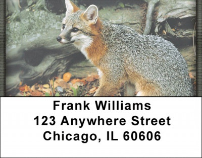 Out Foxed Address Labels | LBZANK-40