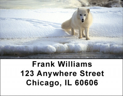 White Fox Address Labels | LBZANK-41